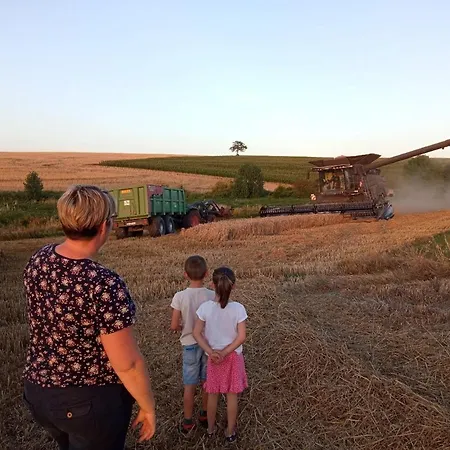 Au Nid Douillet De La Ferme Chauvet Pensjonat